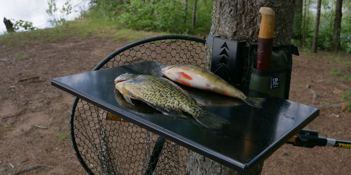 Top Shelf outdoor and camping table mounted to a lakeside tree, prepared to fillet fish for shore lunch.