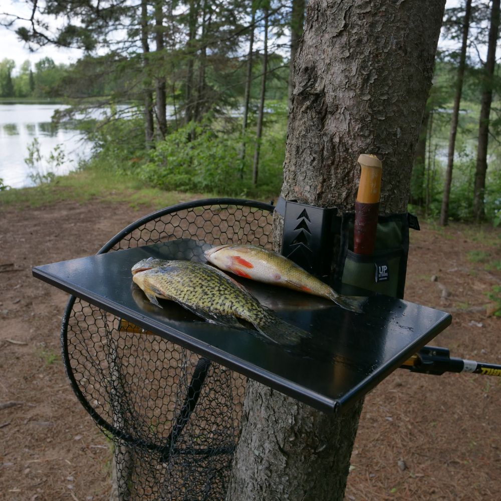 Top Shelf outdoor and camping table mounted to a lakeside tree, prepared to fillet fish for shore lunch.